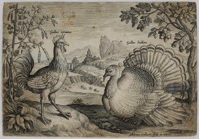 Old Master Engraving by Adriaen Collaert